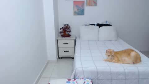 julia online show from December 30, 7:11 pm