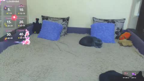 Jul online show from February 5, 10:08 am