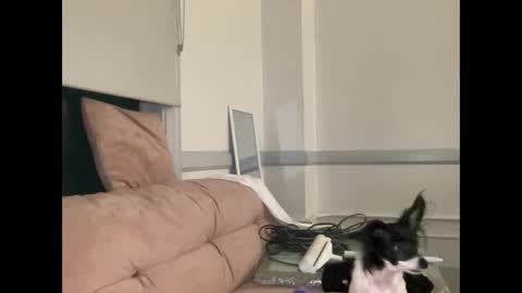 Jess online show from September 18, 8:29 am