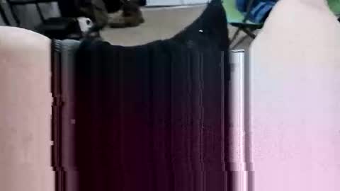 justswack online show from February 19, 3:05 am