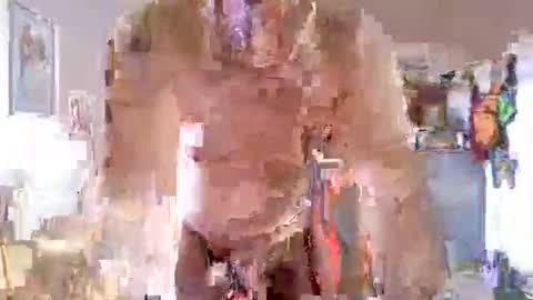 Snapshot of juteja chatting on October 16, 8:58 am juteja online show from October 16, 8:58 am