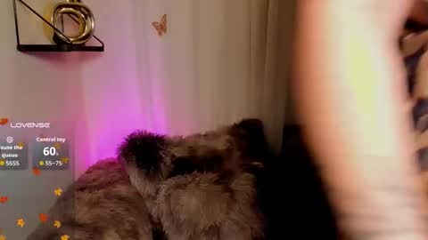 Kaaiiri online show from November 25, 6:56 am