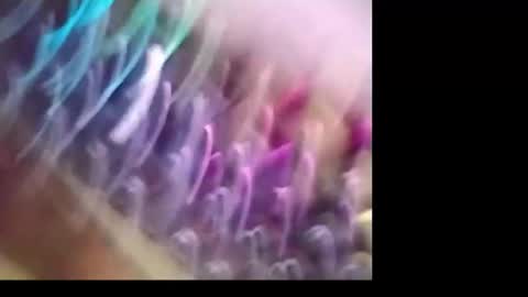 kabriggs137 online show from October 21, 8:23 pm