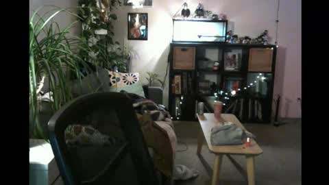 kakarotogordo online show from November 12, 3:09 am