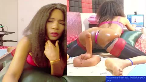 Brown Bunny online show from September 25, 8:10 am