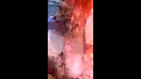 kasu358562 online show from January 13, 2:36 pm