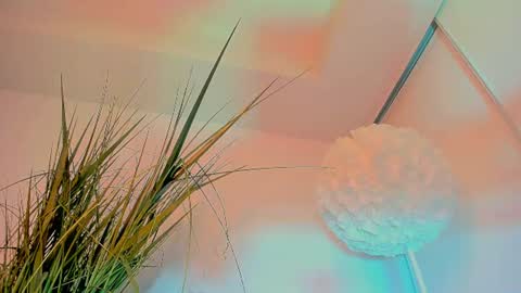 Nice to meet you  online show from August 5, 10:56 am