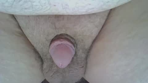 maggot online show from March 8, 8:22 am