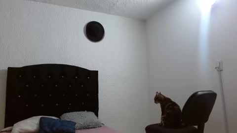 Adrian  Chlloe online show from September 15, 12:23 am