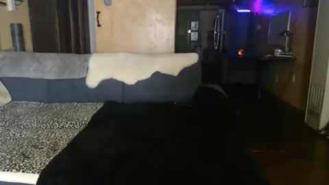 Kimber online show from November 11, 5:42 am