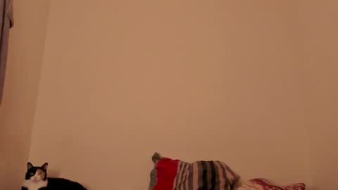 Kim online show from February 20, 4:01 am