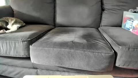Kinky online show from May 15, 12:02 pm