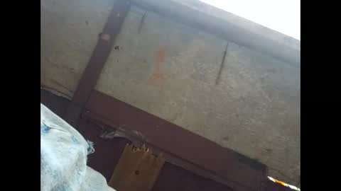 Snapshot of kngboss6969 chatting on September 28, 10:46 am kngboss6969 online show from September 28, 10:46 am