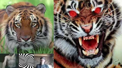 kodiakpm1 online show from February 1, 7:15 am