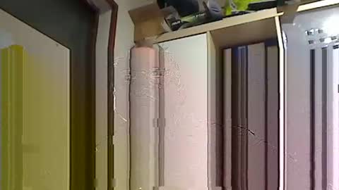 kokin3034 online show from February 22, 8:40 am