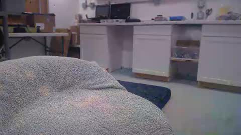 kronur online show from November 1, 11:31 am