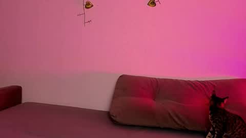 LadyTrep online show from February 15, 4:49 pm