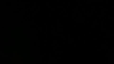 MANIKA online show from October 4, 4:10 am