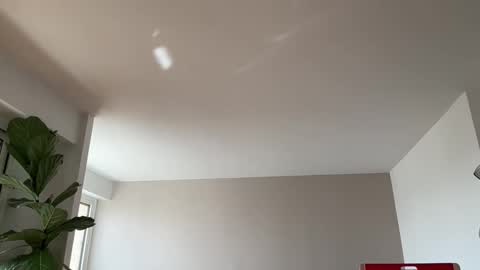 Lanimal online show from March 10, 1:04 pm