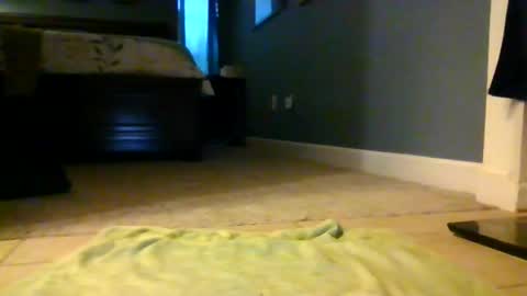 LapDog online show from February 20, 4:09 pm