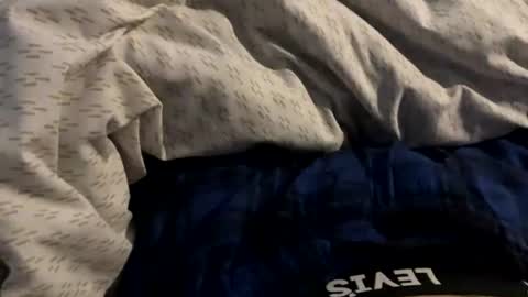 latinsebas69 online show from July 13, 1:15 pm