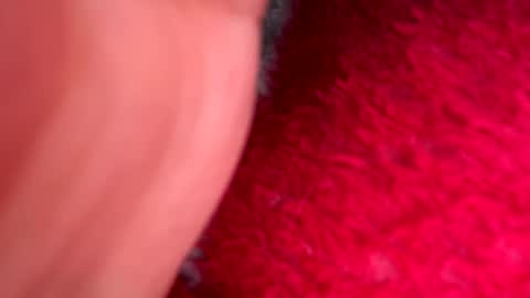 Mexakin online show from March 1, 10:25 pm