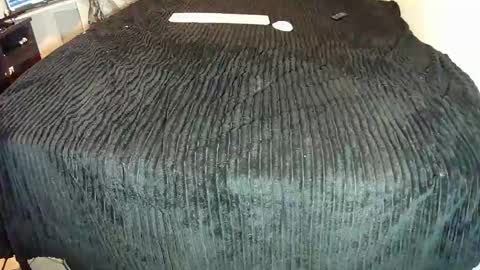 leatherman31 online show from October 25, 1:17 am