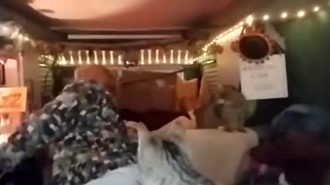 LesleyGumGrass- The Boring Trans girl online show from December 19, 1:06 pm