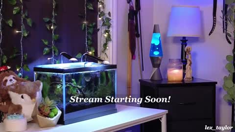 Snapshot of lex_taylor chatting on December 19, 4:46 pm Lex online show from December 19, 4:46 pm