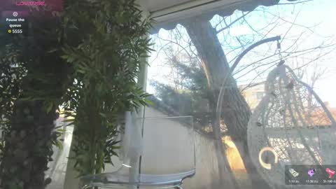 lexi_storm online show from December 19, 8:21 am