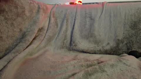 lexypetite7 online show from February 12, 8:01 pm