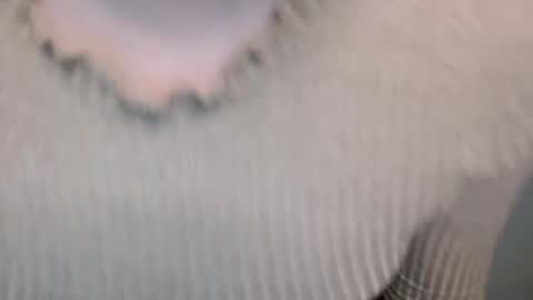 Leyla online show from April 13, 5:17 pm