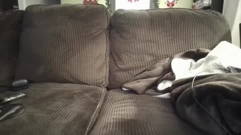 lifer77 online show from December 26, 5:26 am