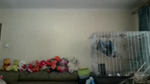 lilycandy_ online show from December 14, 8:45 am