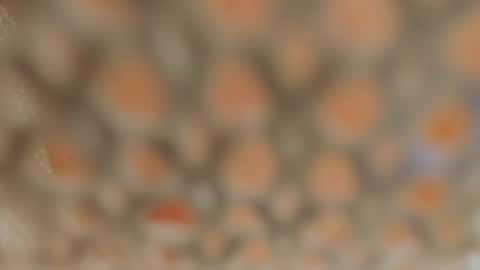 Lina Fanslymysensualworld online show from January 5, 9:37 am