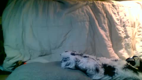 Richie Rich online show from January 13, 2:39 am