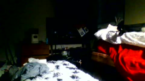 Richie Rich online show from December 30, 11:17 pm