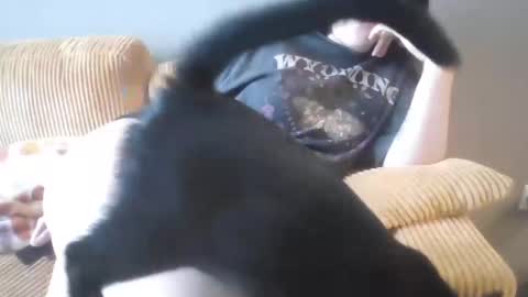 Snapshot of littlelovesbig chatting on September 23, 6:03 pm littlelovesbig online show from September 23, 6:03 pm