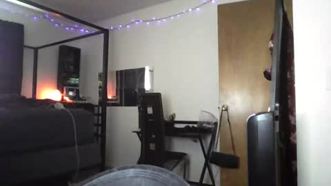 Liv Mirage online show from November 23, 6:50 pm