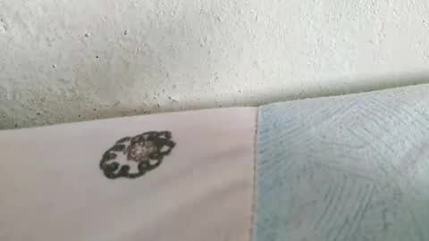 Lee online show from February 16, 9:29 am