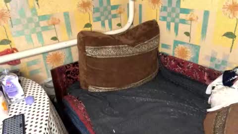 Sevy online show from January 7, 6:13 pm