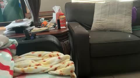 logical12345 online show from November 18, 10:13 pm