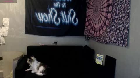 londonray online show from October 8, 6:08 am