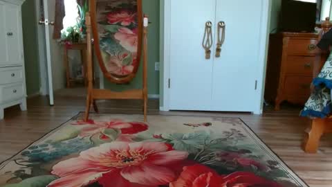 Jeff online show from March 10, 6:45 pm