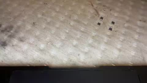 lostpuppyboy online show from December 19, 2:45 pm