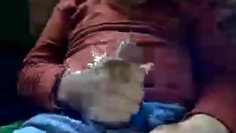 lovaman69 online show from July 24, 7:38 am