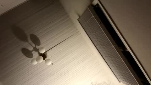 lucydreamsx2 online show from April 12, 5:33 am