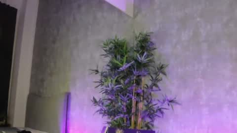 lucyrayy online show from February 4, 10:57 pm