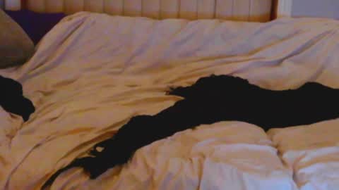 M Jordan online show from January 6, 4:15 am