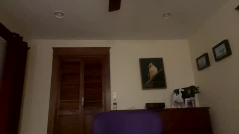 lyle blue online show from February 4, 1:09 am